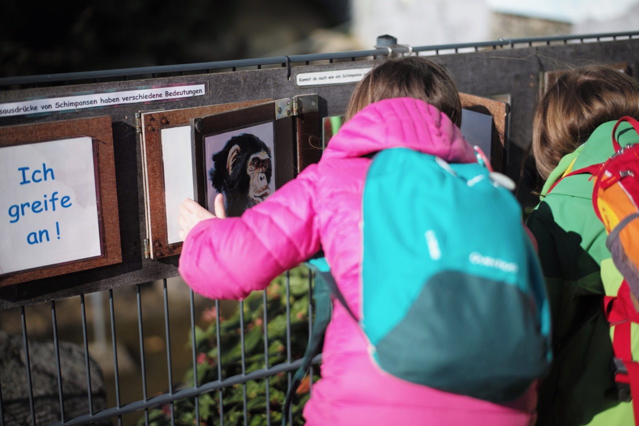 Schilder mit Erklärungen zu den Chimpansen